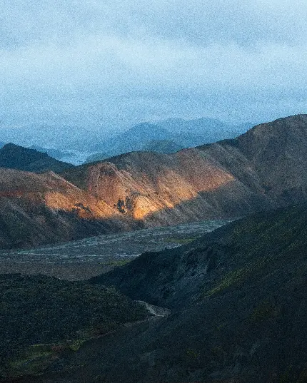 دیوار نویسی